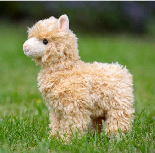 animigos-alpaka-realistycznypluszak1.jpg