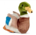Pluszaki Animigos World of nature - Kaczka Krzyżówka