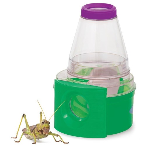 Małe obserwatorium owadów z lupą