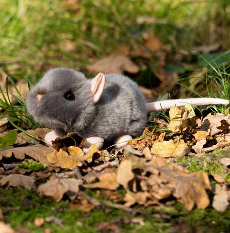 Screenshot 2022-12-03 at 22-17-44 Animigos World Of Nature Squeaking Rat One For Fun.png