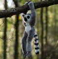 Screenshot 2022-12-03 at 22-19-26 Animigos World Of Nature Hanging Ring Tailed Lemur One For Fun.png