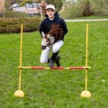 s5___hobby-horse-biscuit-skippi-jumping_9702.jpg