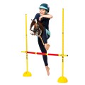 s5___skippi-obstacle-hobby-horse-skewbald-tobiano-brown-and-white.jpg