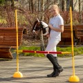 s5___hobby-horse-skippi-skewbald-tobiano-obstacle-jump.jpg
