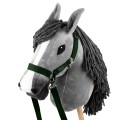 s5___mouse-gray-horse-dark-green-halter.jpg