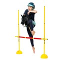 s5___skippi-obstacle-hobby-horse-black.jpg