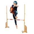s5___skippi-wooden-obstacle-hobby-horse-jumping.jpg