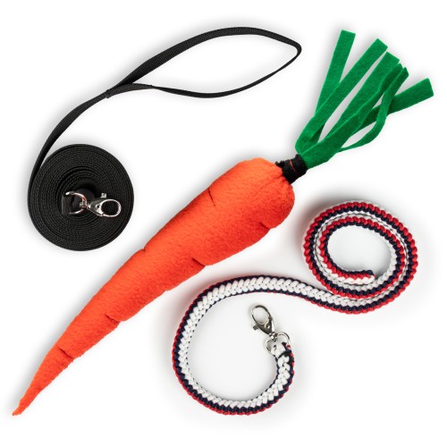 s5___lunge-line-lead-rope-carrot-for-hobby-horse-skippi.jpg