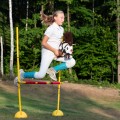 s5___hobby-horse-skippi-skewbald-tobiano-brown-and-white-A5-jumping-9228.jpg
